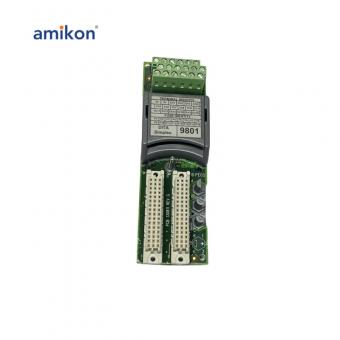 T9801