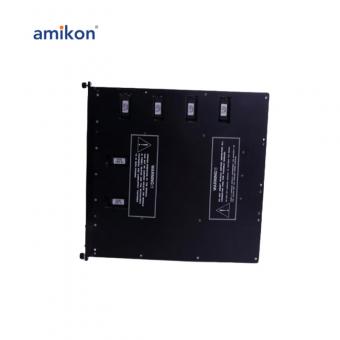 EMPII 3006