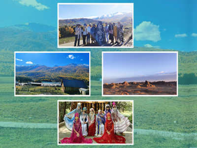 تیم سازی شرکت